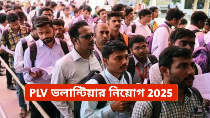 PLV New Job Recruitment 2025
